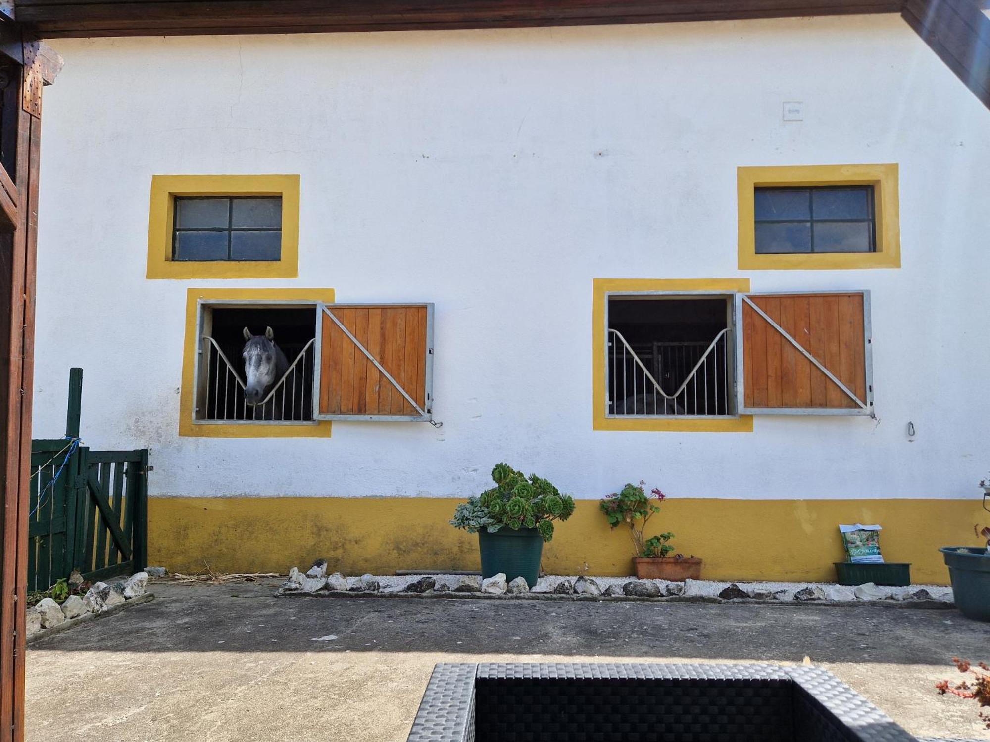 Horse Riding Country House Vila Franca de Xira Exterior foto