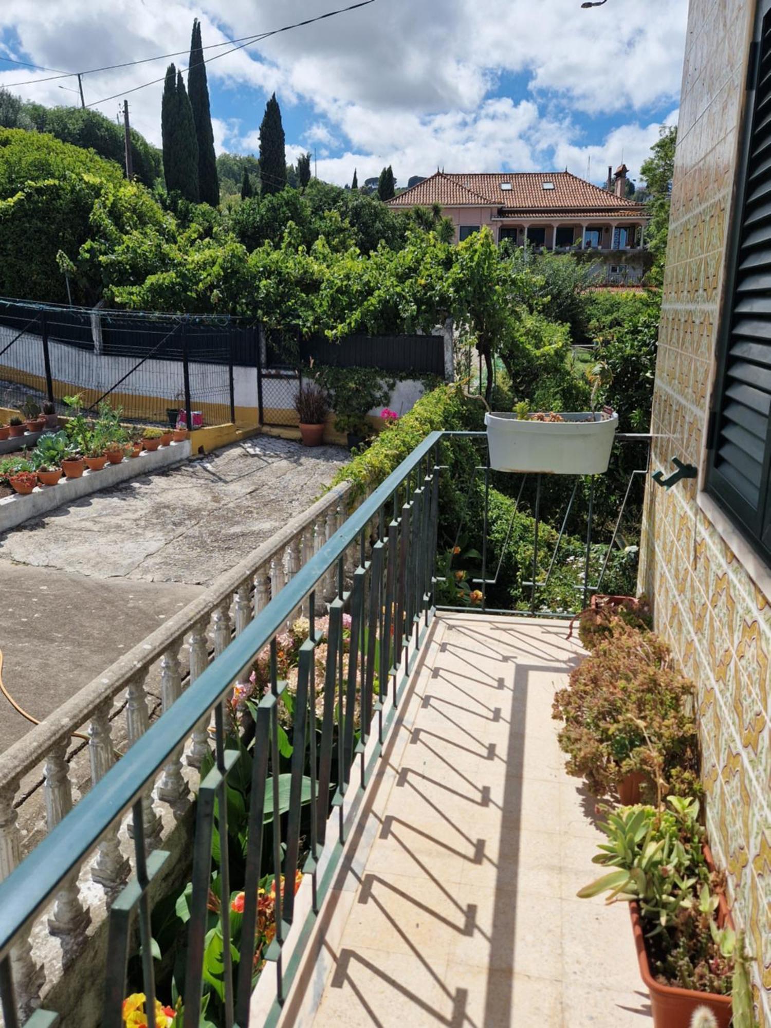 Horse Riding Country House Vila Franca de Xira Exterior foto