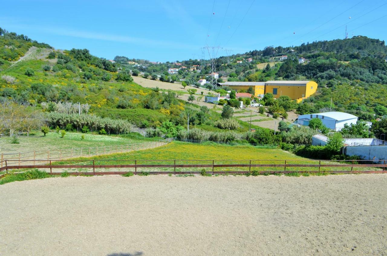 Horse Riding Country House Vila Franca de Xira Exterior foto